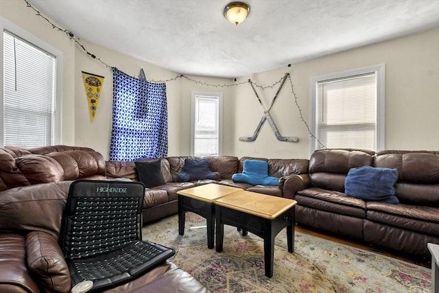 living room featuring light wood-style floors