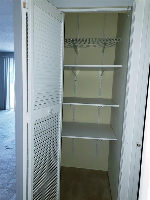 1 Post Oak Ln Unit 21, Natick, MA 01760 - view of closet