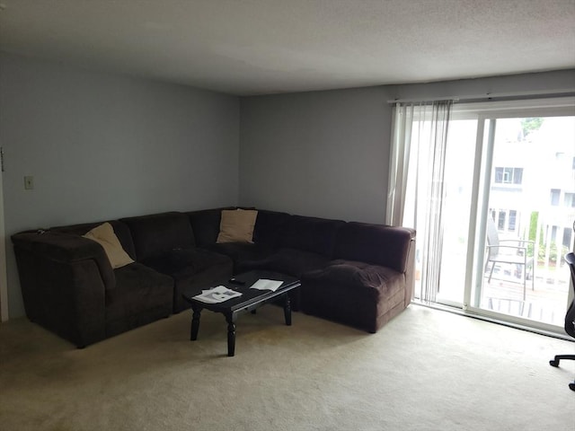 1 Post Oak Ln Unit 21, Natick, MA 01760 - living room with carpet flooring