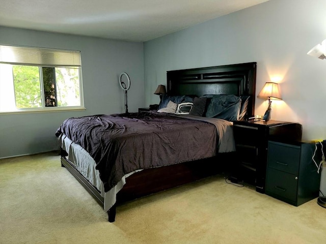 1 Post Oak Ln Unit 21, Natick, MA 01760 - bedroom with light colored carpet