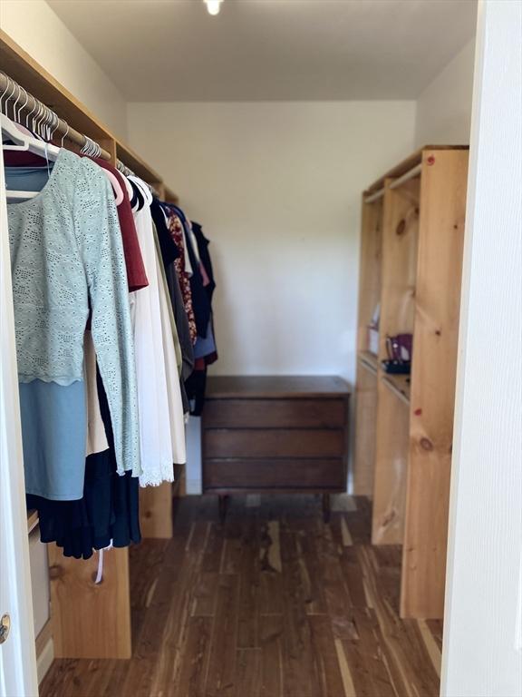 spacious closet featuring wood finished floors