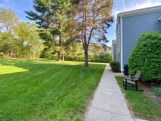 view of grassy yard