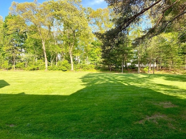 view of green lawn