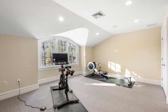 workout room featuring lofted ceiling and carpet flooring