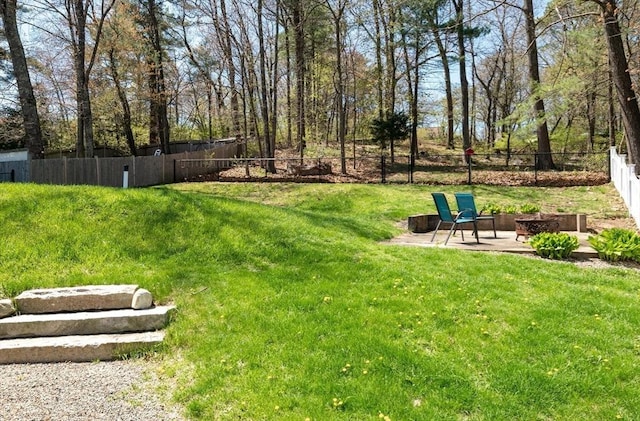 view of yard with a fenced backyard and a patio area