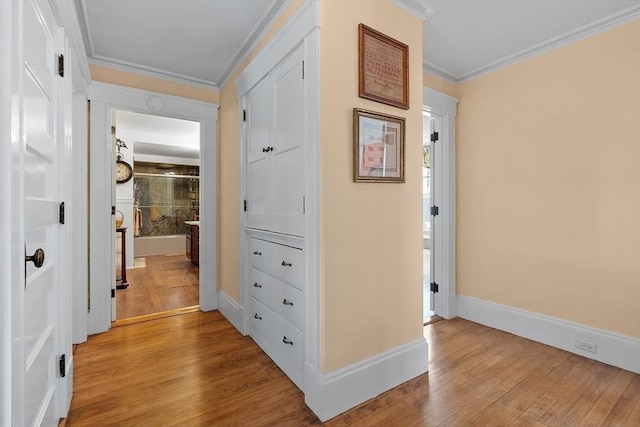 hall with crown molding and light hardwood / wood-style flooring