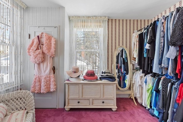 walk in closet with carpet