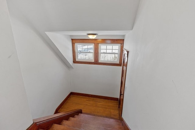 stairs featuring hardwood / wood-style flooring