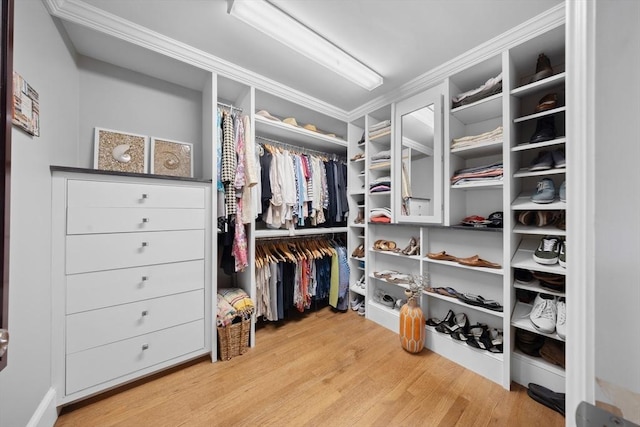 15 Hawthorne Rd, Hingham, MA 02043 - spacious closet with light wood-type flooring