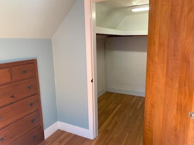 19 Locust Ave, Southbridge, MA 01550 - walk in closet featuring lofted ceiling and wood finished floors