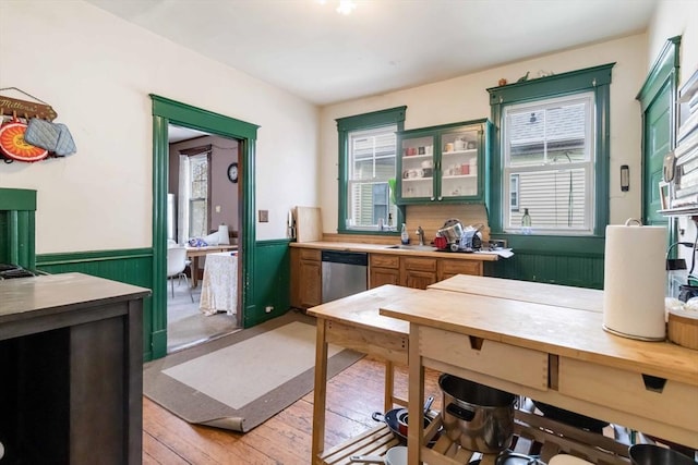 interior space featuring a sink, wainscoting, a wealth of natural light, and light wood finished floors