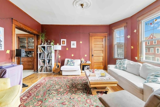 living room featuring wood finished floors