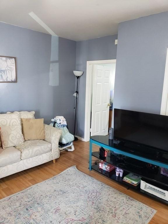 living room with hardwood / wood-style flooring