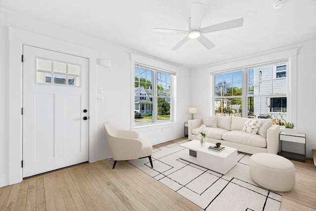 50 Mckinley St Unit 50, Maynard, MA 01754 - living room with light wood-type flooring and ceiling fan