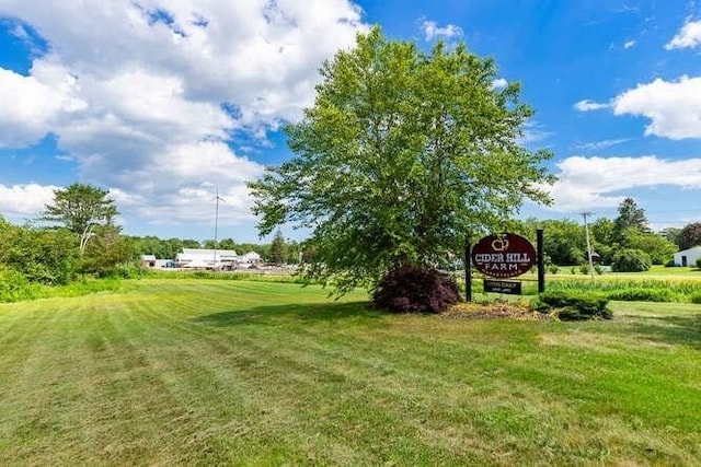 151 Whitehall Rd, Amesbury, MA 01913 - view of green lawn