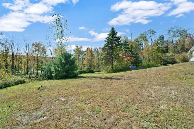 view of nature featuring a wooded view