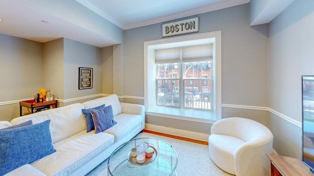living area featuring crown molding and baseboards