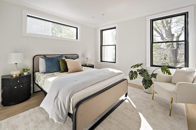 133 Fayerweather St Unit 1, Cambridge, MA 02138 - bedroom with light wood finished floors and ornamental molding