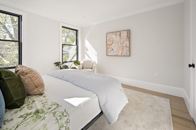 133 Fayerweather St Unit 1, Cambridge, MA 02138 - bedroom with ornamental molding and light wood-style flooring