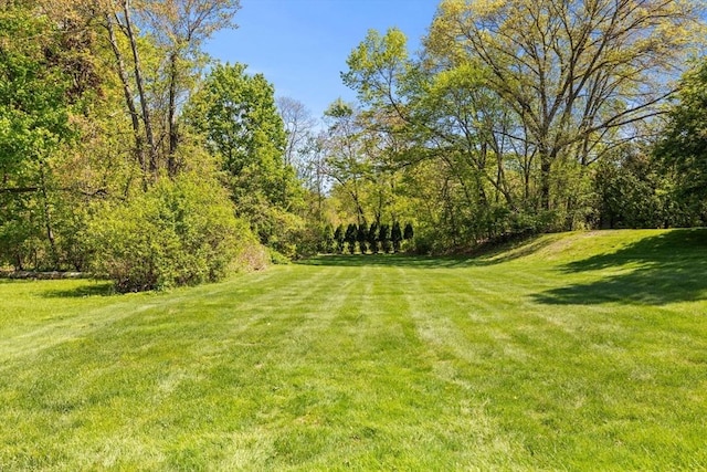 view of green lawn