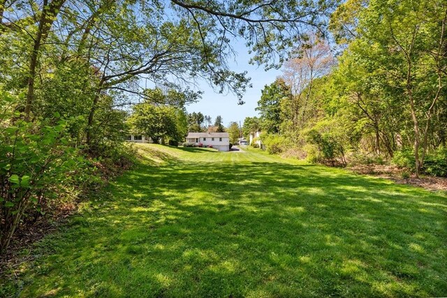 view of grassy yard