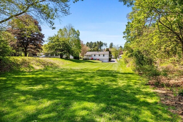 view of green lawn