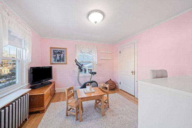 office space featuring crown molding and light hardwood / wood-style flooring