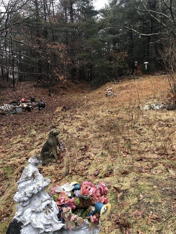 266 Pleasant St, Franklin, MA 02038 - view of yard