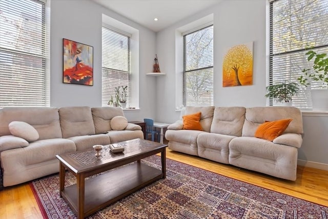 living room featuring wood finished floors and baseboards