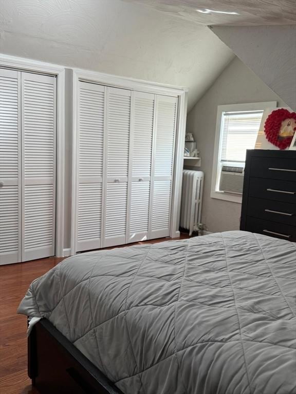 335 Euclid Ave, Lynn, MA 01904 - bedroom with radiator heating unit, vaulted ceiling, wood finished floors, two closets, and cooling unit
