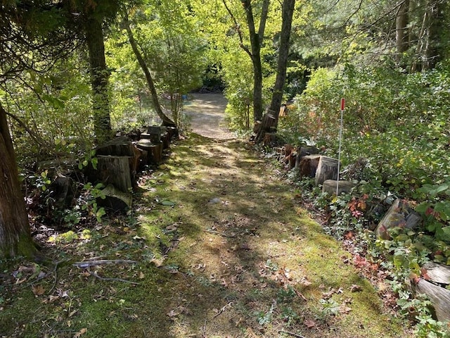 view of landscape