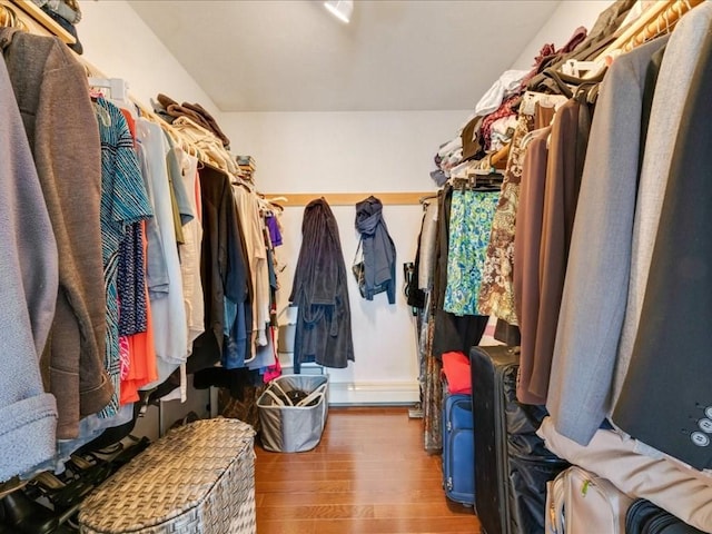 spacious closet featuring wood finished floors