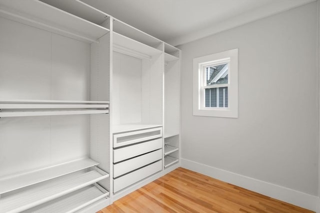 spacious closet featuring light wood-style floors