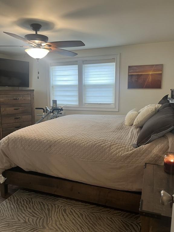 bedroom with a ceiling fan and multiple windows