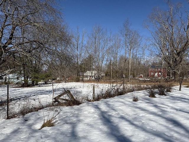 view of yard covered in snow