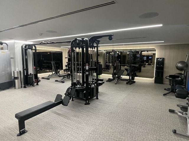 workout area with carpet