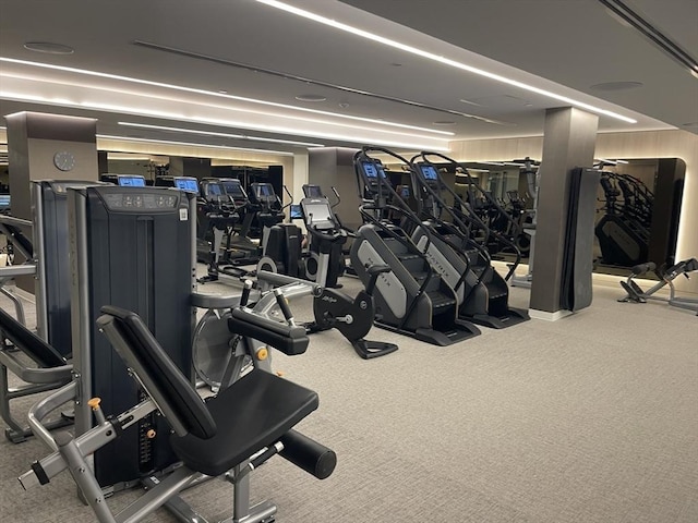 exercise room featuring carpet floors