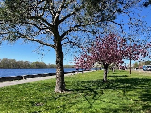 view of property's community with a lawn and a water view
