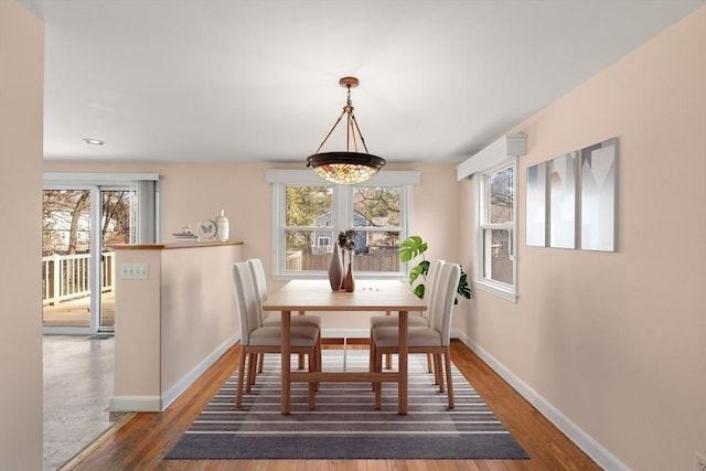 dining room featuring a wealth of natural light and wood finished floors