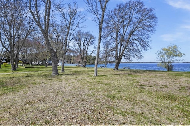 view of yard with a water view