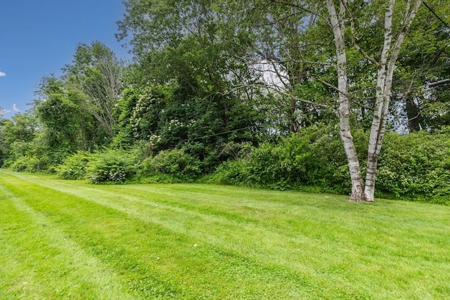 30 Danbury Dr Unit 8, Methuen, MA 01844 - view of green lawn
