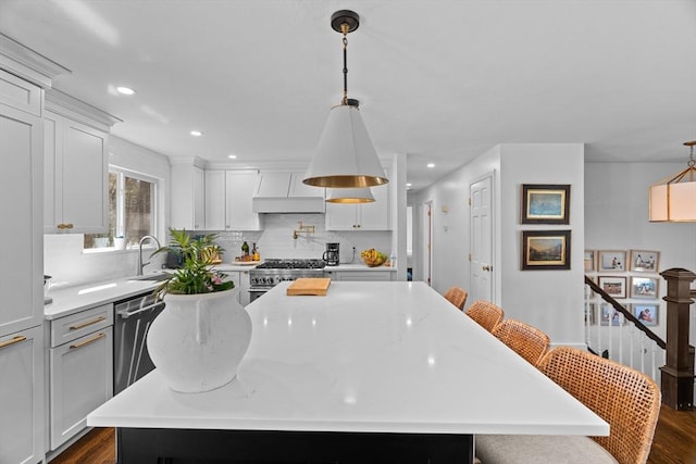 kitchen featuring tasteful backsplash, white cabinetry, stainless steel appliances, custom exhaust hood, and dark wood-style flooring