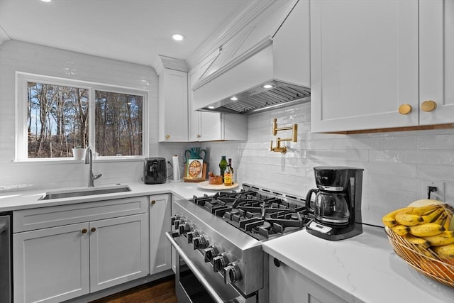 kitchen with tasteful backsplash, stainless steel appliances, custom range hood, and a sink