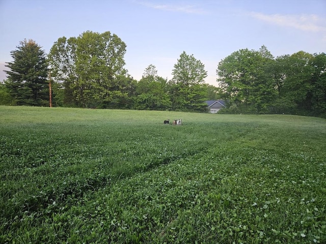 view of yard with a rural view