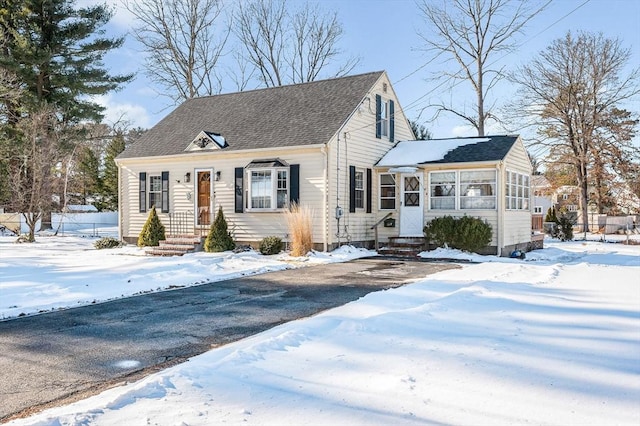 view of cape cod home