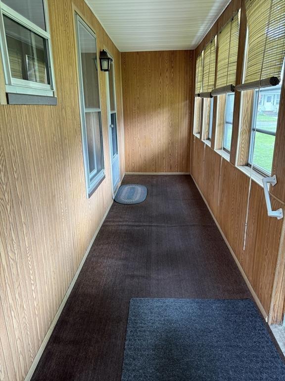 unfurnished sunroom with wood walls and carpet floors