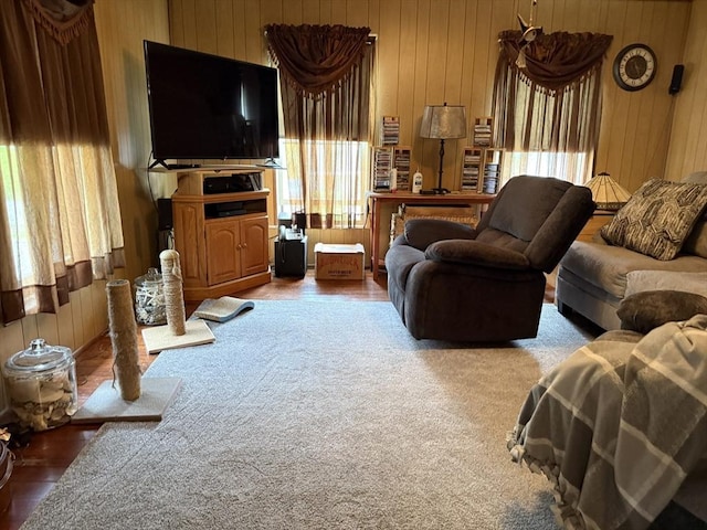 living area with wood walls and wood finished floors