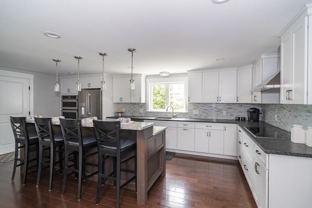 32 Charles St, Natick, MA 01760 - kitchen featuring stainless steel appliances, a sink, dark wood-type flooring, under cabinet range hood, and recessed lighting