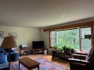 living room featuring hardwood / wood-style floors