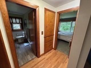 hall with light hardwood / wood-style floors